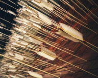 Mastering Precision - Bowdacious Bowrest
