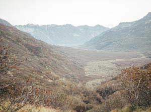 Revolutionizing Bow Hunting - Bowdacious Bowrest