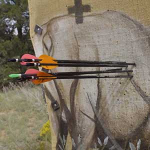 Target Shooting Stabilizer