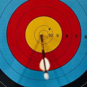 Best stabilizer for Target shooting.