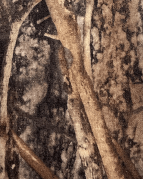 Hunting Stealth Wraps | Hunting Accessories | Bowdacious Bowrest